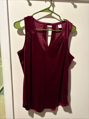 Sleeveless Velvet V-Neck Tank Top in Wine